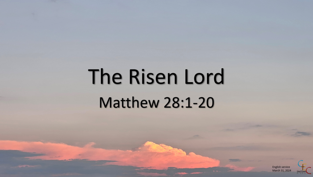 The Risen Lord Image