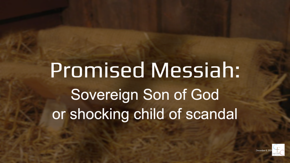 Sovereign Son of God or shocking child of scandal