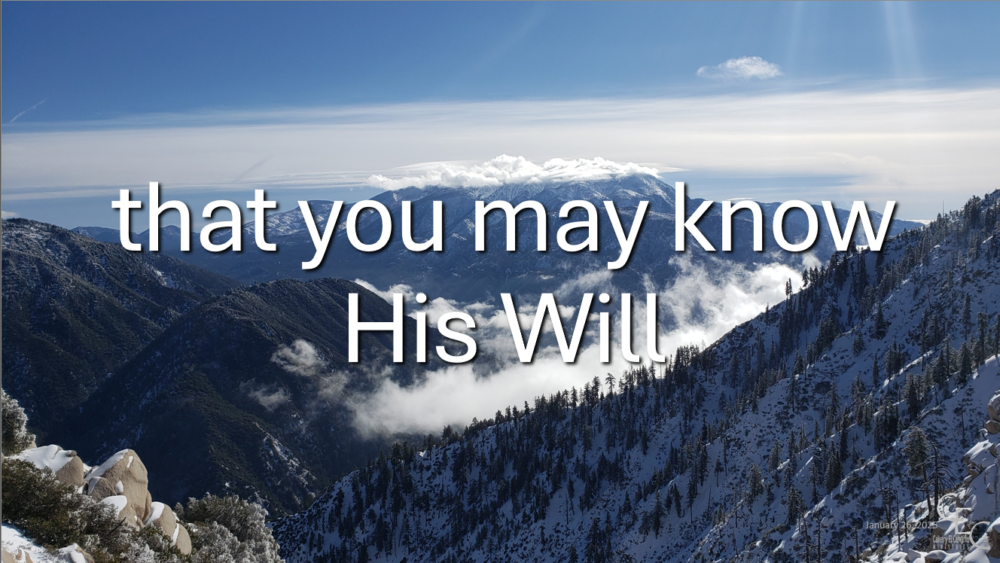 ...His Will