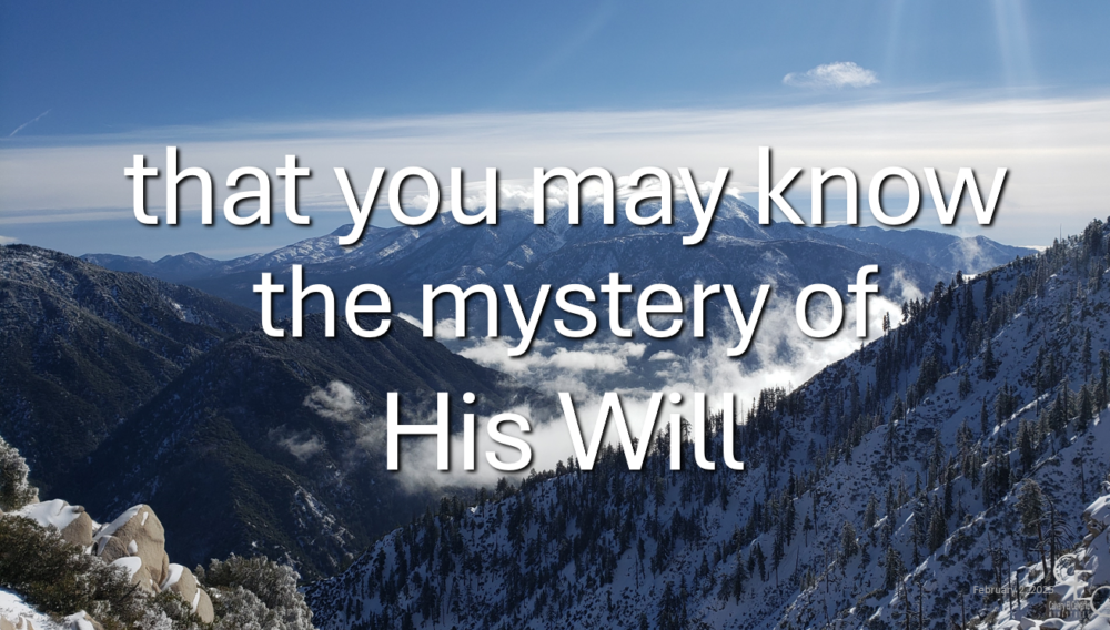 ...the mystery of His Will