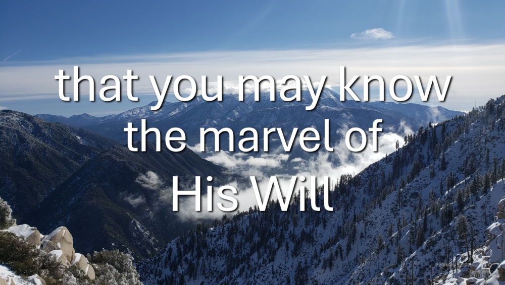 ... the marvel of His Will