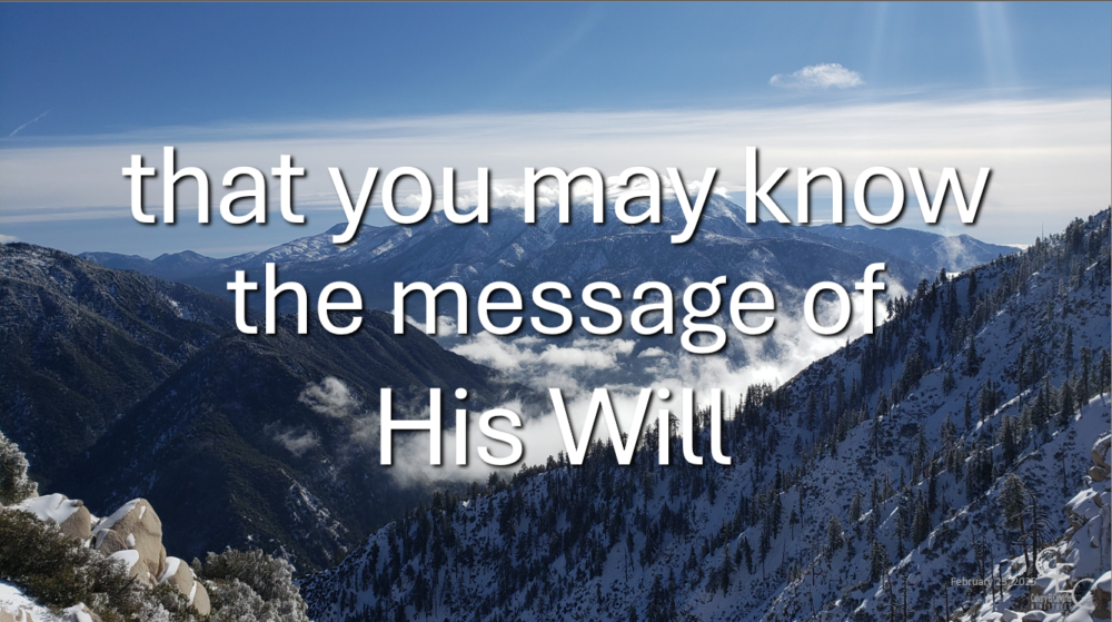 ...the message of His Will Image