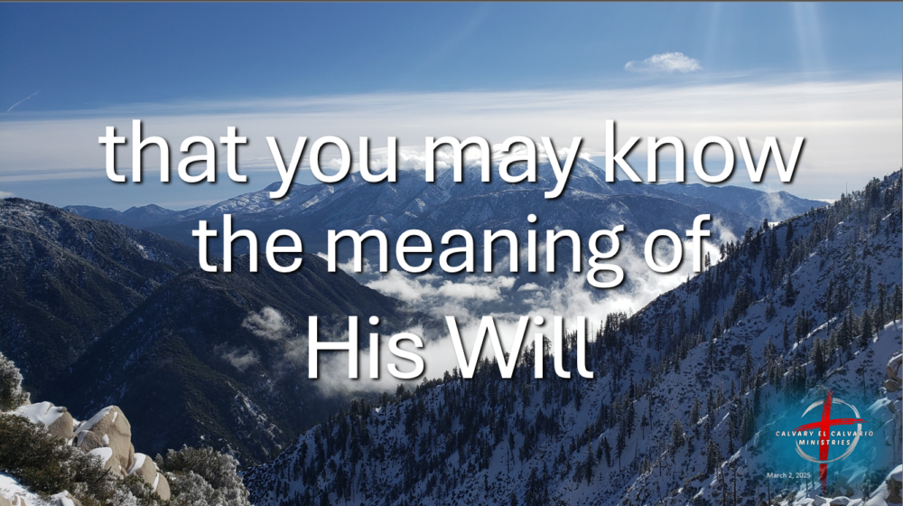 ... the meaning of His Will Image